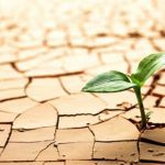 کارگاه آموزشی عزت نفس
