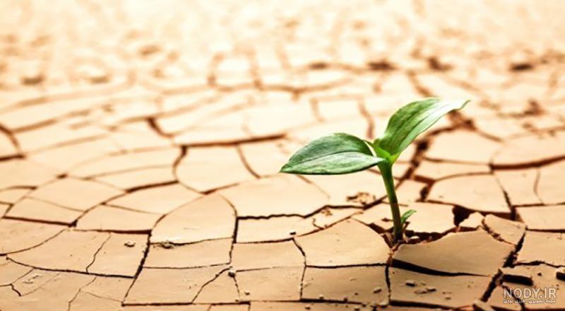 جملاتی برای تجدید نظر زندگیتون ؟!